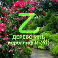 Базовая характеристика человека Элемента Личности 乙 Дерево Инь. Иероглиф Йи (Yi). Личный Благородный. Описание Господина Дня — 乙 Иньское Дерево. Дневная Доминанта в карте БаЦзы — 乙 Дерево Инь — «Джиннотека» www.481632.ru