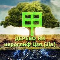 Базовая характеристика человека Элемента Личности 甲 Дерево Ян. Иероглиф Цзя (Jia). Личный Благородный. Описание Господина Дня — 甲 Янское Дерево. Дневная Доминанта в карте БаЦзы — 甲 Дерево Ян — «Джиннотека» www.481632.ru